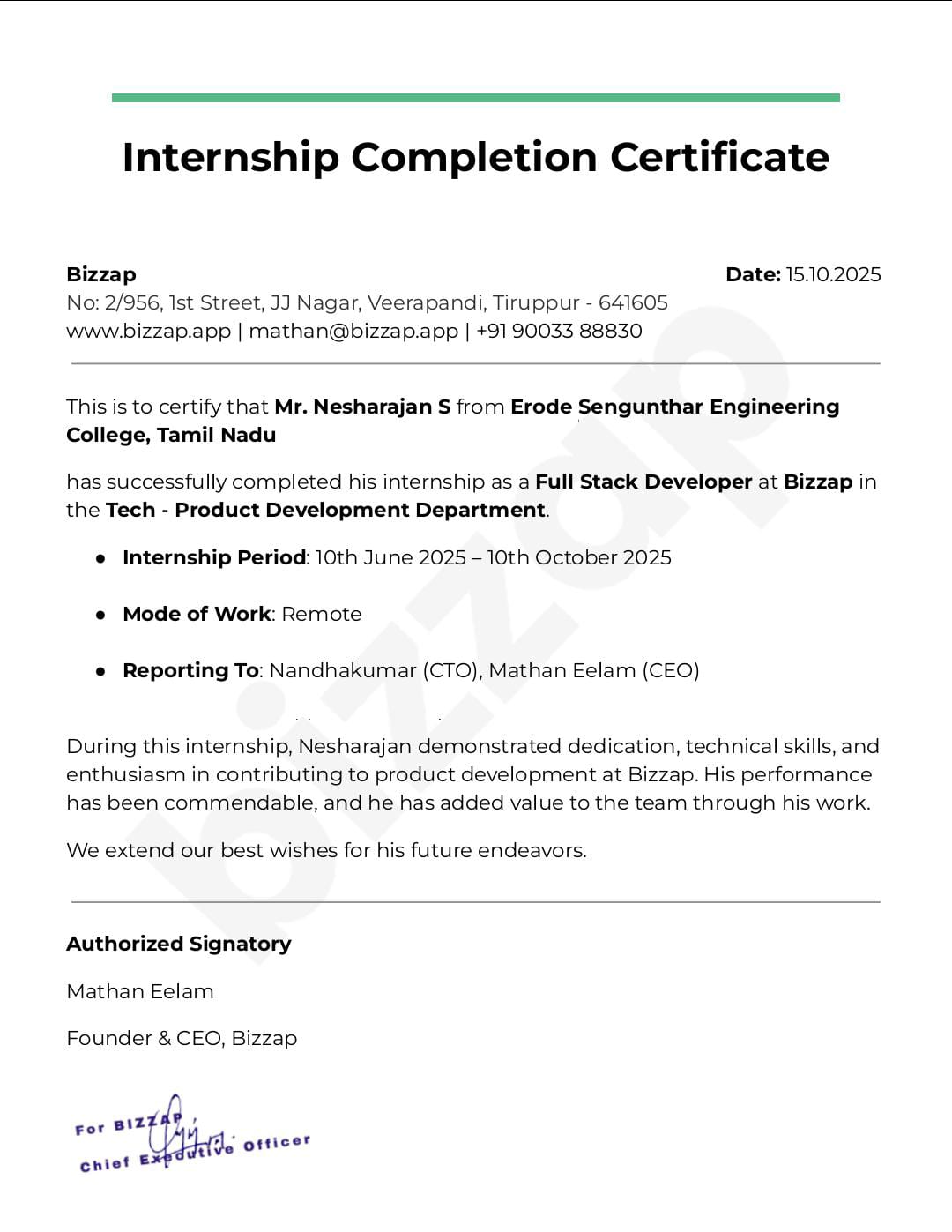 Web Internship